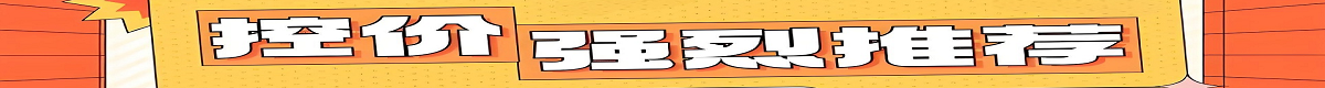 控价